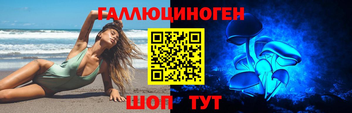 Галлюциногенные грибы Cubensis  Псилоцибиновые грибы GOLDEN TEACHER  Ленинск-Кузнецкий  Вход с VPN 